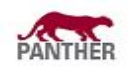 Panther
