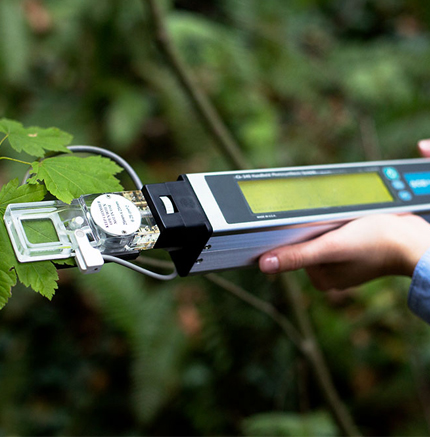 Handheld Photosynthesis System