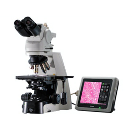 Upright Microscope