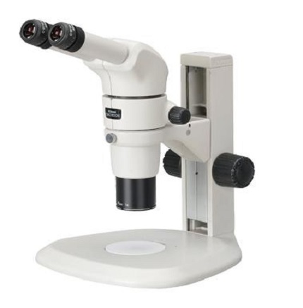 Zoom Stereomicroscope