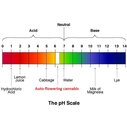 pH Meters